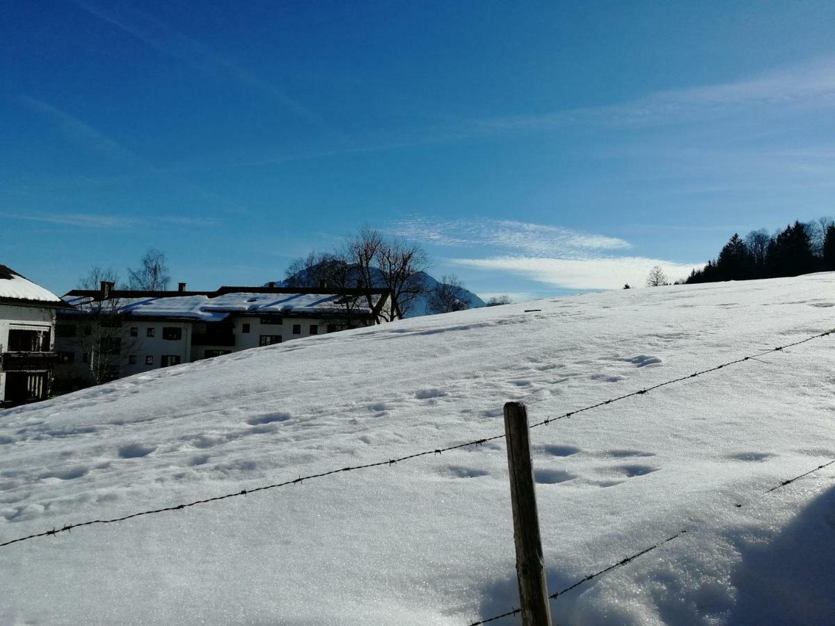 Ferienwohnung Elsa Immenstadt im Allgäu Esterno foto